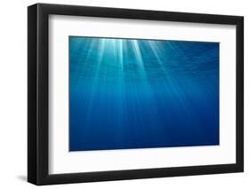 Sunbeams below the surface of the sea, Guadalupe Island-Alex Mustard-Framed Photographic Print