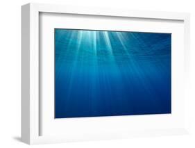 Sunbeams below the surface of the sea, Guadalupe Island-Alex Mustard-Framed Photographic Print