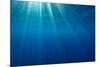 Sunbeams below the surface of the sea, Guadalupe Island-Alex Mustard-Mounted Photographic Print