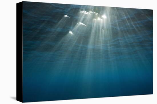 Sunbeams Filtering through the Ocean Surface-Reinhard Dirscherl-Stretched Canvas