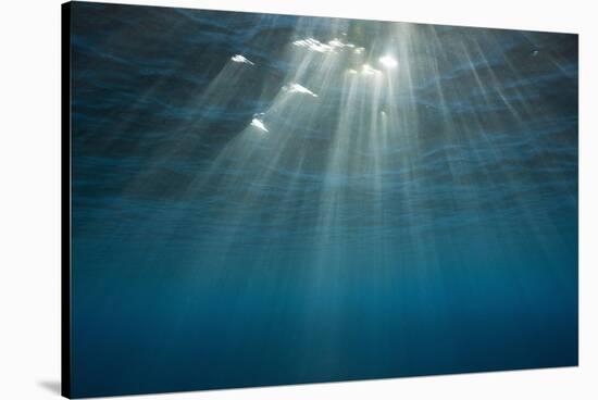 Sunbeams Filtering through the Ocean Surface-Reinhard Dirscherl-Stretched Canvas