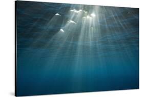 Sunbeams Filtering through the Ocean Surface-Reinhard Dirscherl-Stretched Canvas