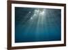 Sunbeams Filtering through the Ocean Surface-Reinhard Dirscherl-Framed Photographic Print