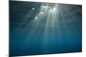 Sunbeams Filtering through the Ocean Surface-Reinhard Dirscherl-Mounted Photographic Print