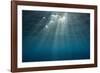Sunbeams Filtering through the Ocean Surface-Reinhard Dirscherl-Framed Photographic Print