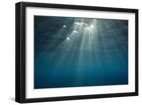 Sunbeams Filtering through the Ocean Surface-Reinhard Dirscherl-Framed Photographic Print