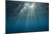 Sunbeams Filtering through the Ocean Surface-Reinhard Dirscherl-Mounted Photographic Print