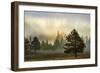 Sunbeams over trees, Midway Geyser Basin, Yellowstone National Park, Wyoming-Adam Jones-Framed Photographic Print