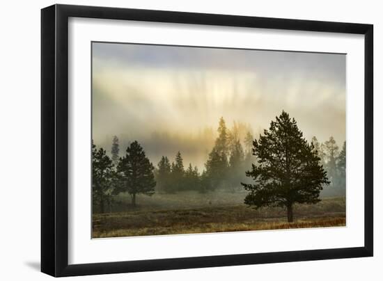 Sunbeams over trees, Midway Geyser Basin, Yellowstone National Park, Wyoming-Adam Jones-Framed Photographic Print