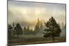 Sunbeams over trees, Midway Geyser Basin, Yellowstone National Park, Wyoming-Adam Jones-Mounted Photographic Print