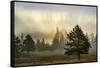 Sunbeams over trees, Midway Geyser Basin, Yellowstone National Park, Wyoming-Adam Jones-Framed Stretched Canvas