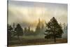 Sunbeams over trees, Midway Geyser Basin, Yellowstone National Park, Wyoming-Adam Jones-Stretched Canvas
