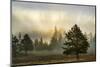 Sunbeams over trees, Midway Geyser Basin, Yellowstone National Park, Wyoming-Adam Jones-Mounted Photographic Print
