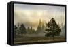 Sunbeams over trees, Midway Geyser Basin, Yellowstone National Park, Wyoming-Adam Jones-Framed Stretched Canvas