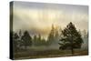 Sunbeams over trees, Midway Geyser Basin, Yellowstone National Park, Wyoming-Adam Jones-Stretched Canvas