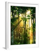 Sunbeams Through the Trees-null-Framed Photographic Print