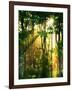 Sunbeams Through the Trees-null-Framed Photographic Print