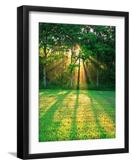 Premium Photographic Print, , large