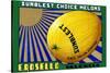 Sunblest Choice Melons-Carol-Stretched Canvas