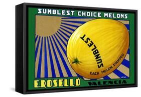 Sunblest Choice Melons-Carol-Framed Stretched Canvas