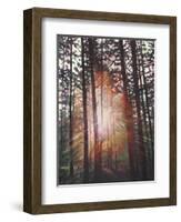 Sunburst, 2010-Helen White-Framed Giclee Print