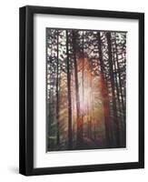 Sunburst, 2010-Helen White-Framed Giclee Print