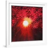 Sunburst, 2013,-Helen White-Framed Giclee Print