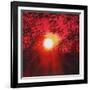 Sunburst, 2013,-Helen White-Framed Giclee Print