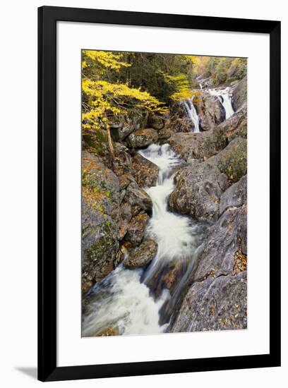 Sunburst Falls in autumn, Forest Scenic Byway, Pisgah National Forest, North Carolina-Adam Jones-Framed Photographic Print