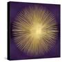 Sunburst Gold on Purple I-Abby Young-Stretched Canvas