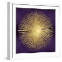 Sunburst Gold on Purple I-Abby Young-Framed Art Print