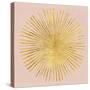 Sunburst I on Pink-Wild Apple Portfolio-Stretched Canvas