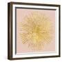 Sunburst I on Pink-Wild Apple Portfolio-Framed Art Print