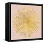 Sunburst I on Pink-Wild Apple Portfolio-Framed Stretched Canvas