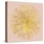 Sunburst I on Pink-Wild Apple Portfolio-Stretched Canvas