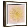 Sunburst I on Pink-Wild Apple Portfolio-Framed Art Print