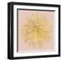 Sunburst I on Pink-Wild Apple Portfolio-Framed Art Print