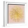 Sunburst I on Pink-Wild Apple Portfolio-Framed Art Print