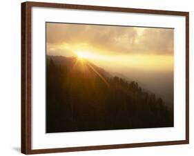 Sunburst in Mt. Rainier National Park, Washington, USA-Jerry Ginsberg-Framed Photographic Print