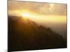 Sunburst in Mt. Rainier National Park, Washington, USA-Jerry Ginsberg-Mounted Photographic Print