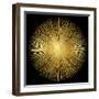 Sunburst on Black I-Abby Young-Framed Art Print