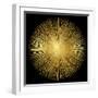 Sunburst on Black I-Abby Young-Framed Art Print