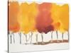 Sunburst Orchard-Megan Swartz-Stretched Canvas