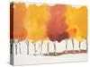 Sunburst Orchard-Megan Swartz-Stretched Canvas