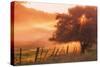 Sunburst Tree, Sunrise in Petaluma, Sonoma Valley, California-Vincent James-Stretched Canvas