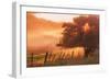 Sunburst Tree, Sunrise in Petaluma, Sonoma Valley, California-Vincent James-Framed Photographic Print