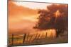 Sunburst Tree, Sunrise in Petaluma, Sonoma Valley, California-Vincent James-Mounted Photographic Print