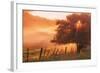 Sunburst Tree, Sunrise in Petaluma, Sonoma Valley, California-Vincent James-Framed Photographic Print