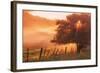 Sunburst Tree, Sunrise in Petaluma, Sonoma Valley, California-Vincent James-Framed Photographic Print