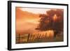 Sunburst Tree, Sunrise in Petaluma, Sonoma Valley, California-Vincent James-Framed Photographic Print
